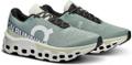 ON Herren Laufschuhe Cloudmonster 2 46 in Silber