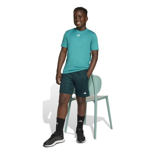 ADIDAS Kinder Shirt Train Essentials Logo Regular Fit Kids
