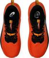 ASICS Herren Trailrunningschuhe GEL-Trabuco 13