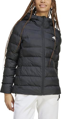 ADIDAS Damen Jacke SDP Insulated
