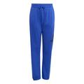 ADIDAS Kinder Hose Essentials Kids 176 in Blau