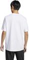 ADIDAS Herren Shirt Lounge Slide Graphic