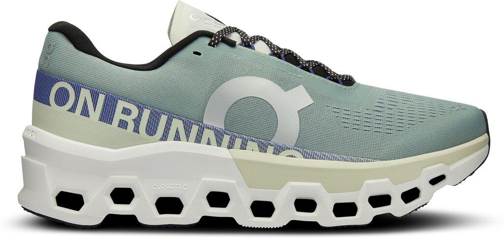 ON Herren Laufschuhe Cloudmonster 2 46 in Silber