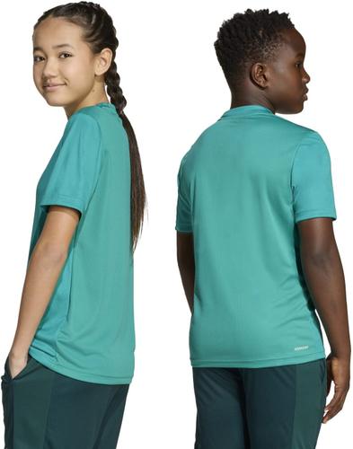 ADIDAS Kinder Shirt Train Essentials Logo Regular Fit Kids