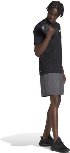 ADIDAS Herren Shorts TR-ES WV SHO S in Grau