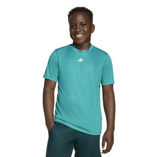 ADIDAS Kinder Shirt Train Essentials Logo Regular Fit Kids