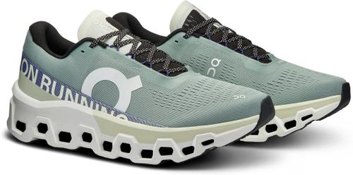 ON Herren Laufschuhe Cloudmonster 2 46 in Silber