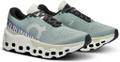 ON Damen Laufschuhe Cloudmonster 2 38 in Silber