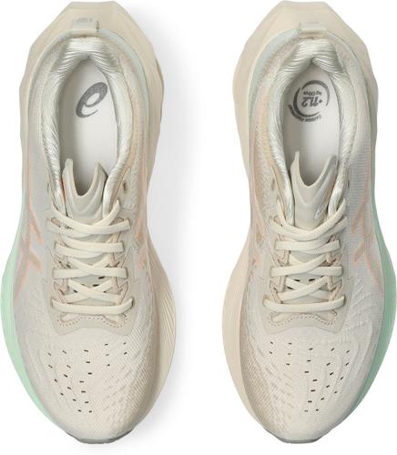 ASICS Damen Laufschuhe NOVABLAST 4 39 ½ in Grau