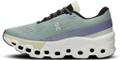 ON Damen Laufschuhe Cloudmonster 2 38 in Silber