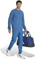 ADIDAS Herren Sweatshirt Designed for Training M in Blau