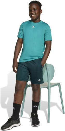ADIDAS Kinder Shirt Train Essentials Logo Regular Fit Kids