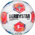 DERBYSTAR Ball Bundesliga Brillant APS v25 5 in Weiß