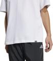 ADIDAS Herren Shirt Lounge Slide Graphic