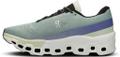 ON Herren Laufschuhe Cloudmonster 2 46 in Silber
