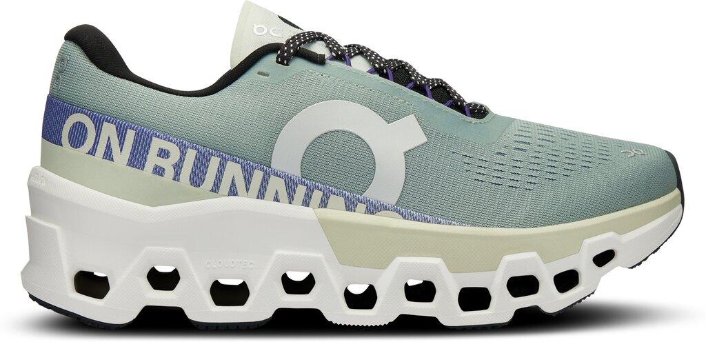 ON Damen Laufschuhe Cloudmonster 2 38 in Silber