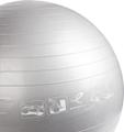 ENERGETICS Gymnastik Ball  / Physioball 65 in Silber