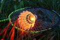 TALBOT/TORRO Badmintonset MAGIC NIGHT LED IM THERMOBAG Onesize in Grün