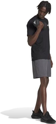 ADIDAS Herren Shorts TR-ES WV SHO S in Grau