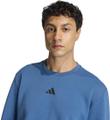 ADIDAS Herren Sweatshirt Designed for Training M in Blau